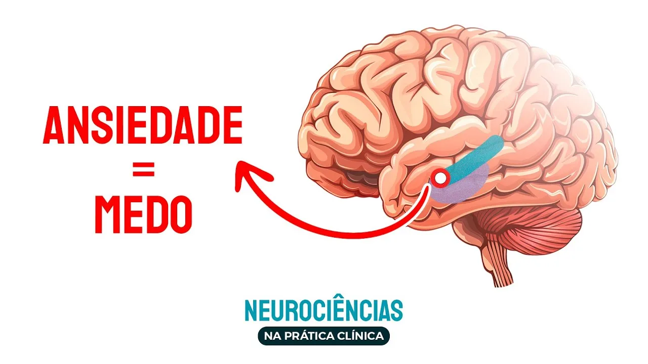 Capa do vídeo: Aula 4: Psicopatologias